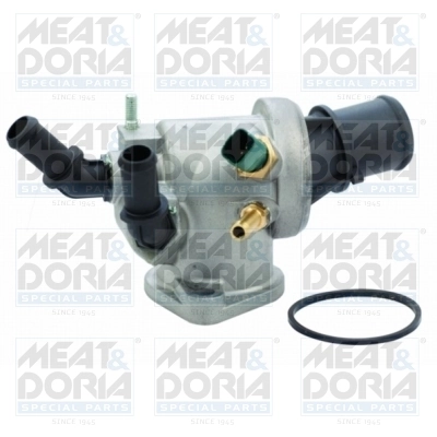 Thermostat, coolant